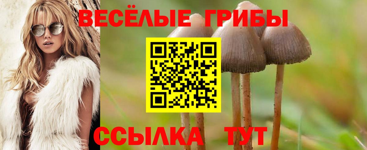 Псилоцибиновые грибы Magic Shrooms  Галлюциногенные грибы мицелий  Вход с VPN  Ливны 
